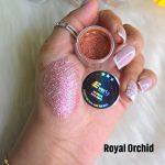 Royal Orchid